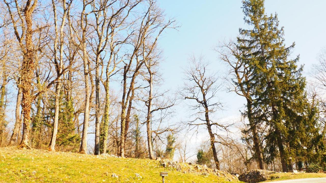 La Garenne de Morestel Extérieur photo